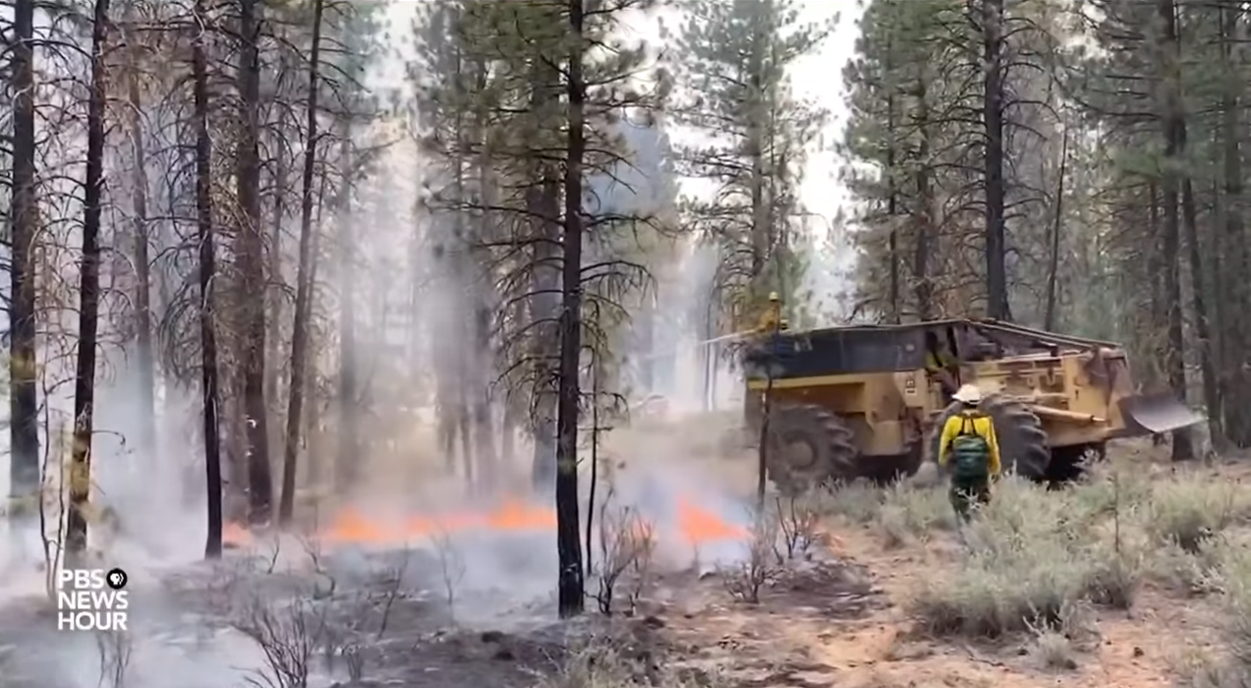West U.S. Wildfires Are So Extreme That They’re Creating Lightning, Fire Whirls