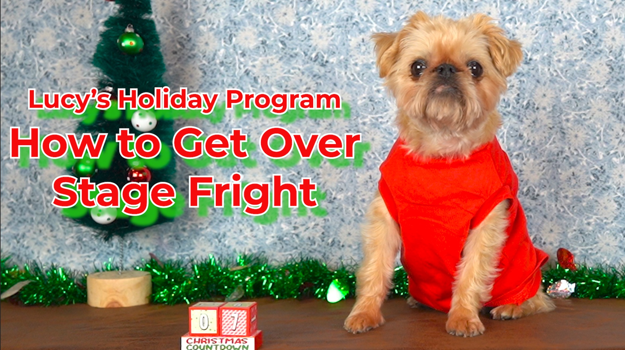 Lucy's Holiday Program: How to Get Over Stage Fright