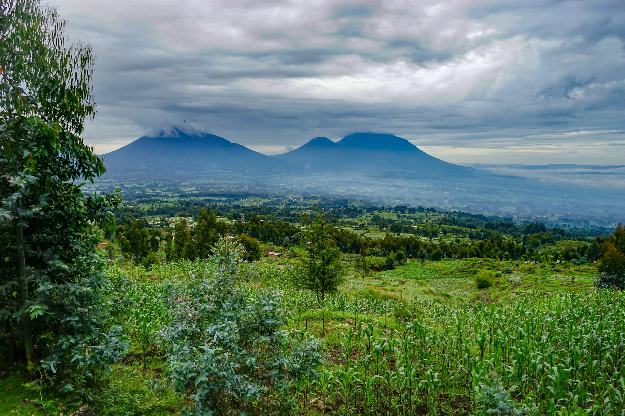 Justice After Genocide: Rebuilding Rwanda