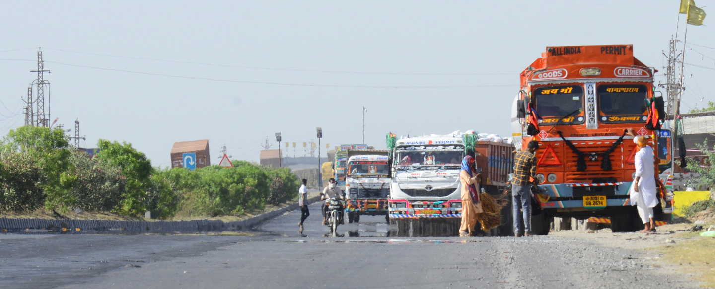 How Are the Heat Waves in India and Pakistan Affecting the Region’s People and Wildlife?