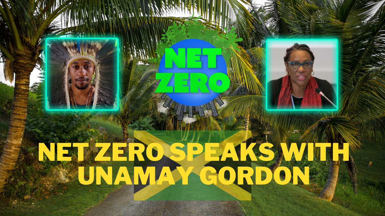 NET ZERO Speaks with UnaMay Gordon about Jamaica's Agroforestry
