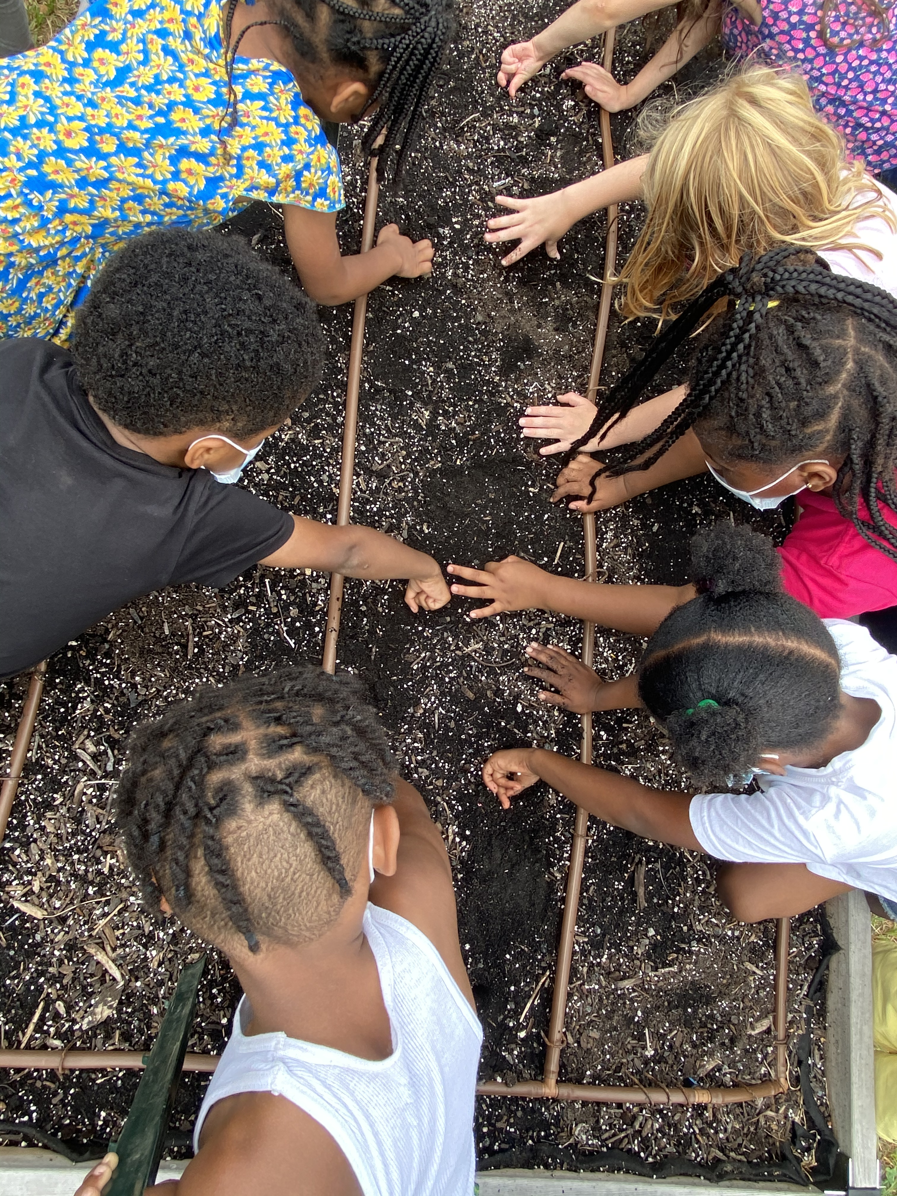 What Makes Healthy Soil