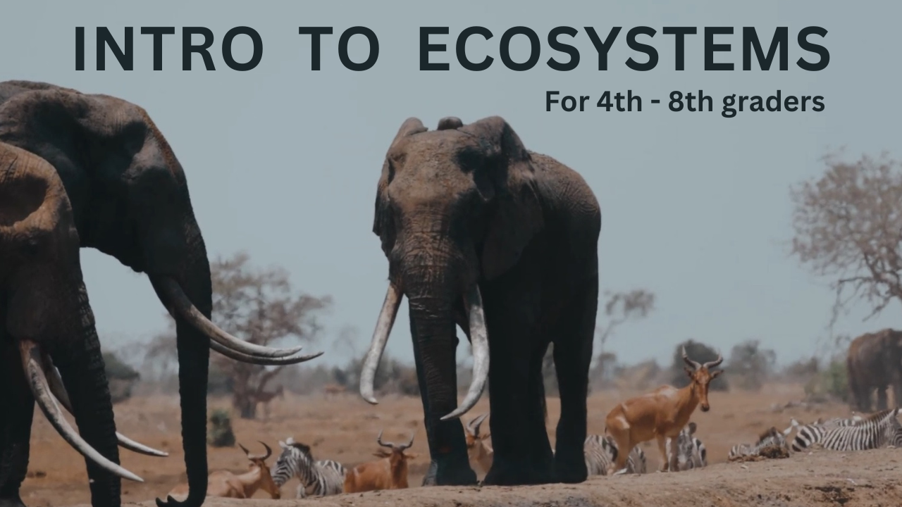 Intro to Ecosystems. Video sheet, Google Forms, MS Forms, Blackboard, Canvas, Moodle & more (V3).