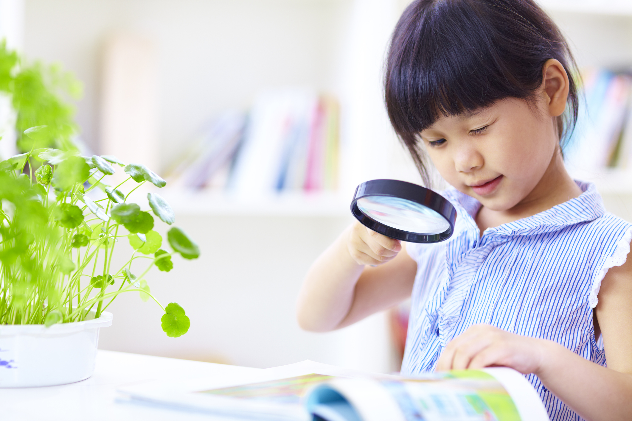 Demystifying the Science of Reading