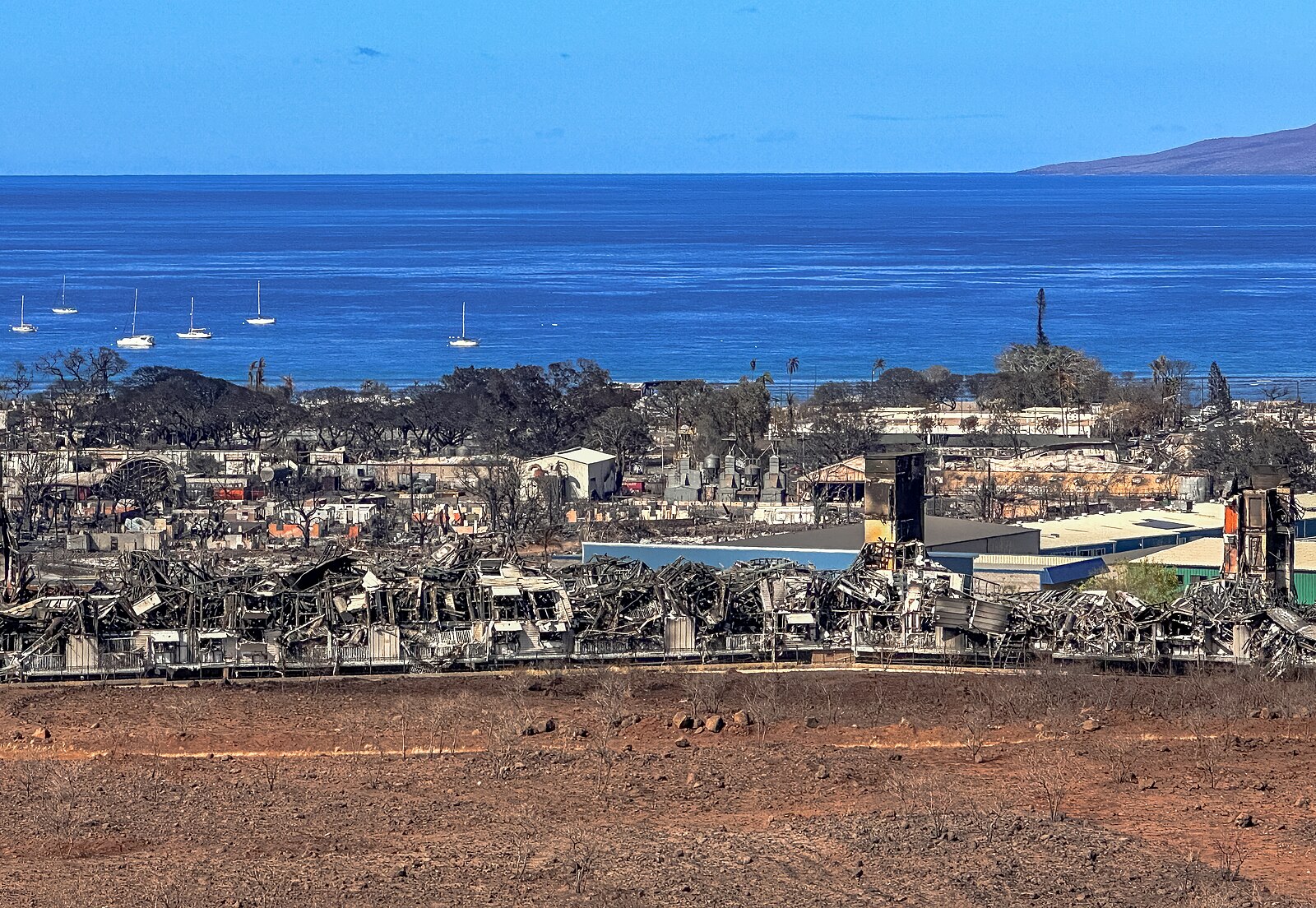What Fueled the Hawaiian Wildfires that Killed Dozens and Leveled Historic Lahaina Town