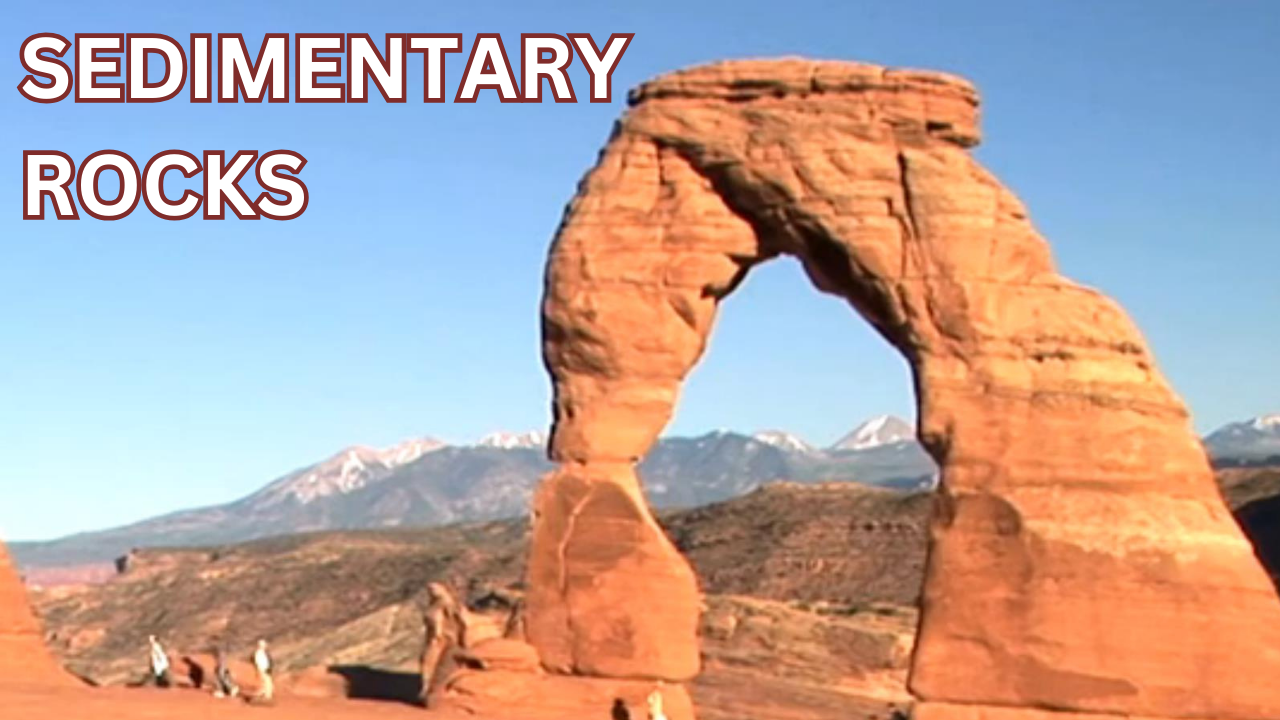 Intro to Sedimentary Rocks. Video sheet, Google Forms, MS Forms, Blackboard, Canvas, Moodle & more (V2).