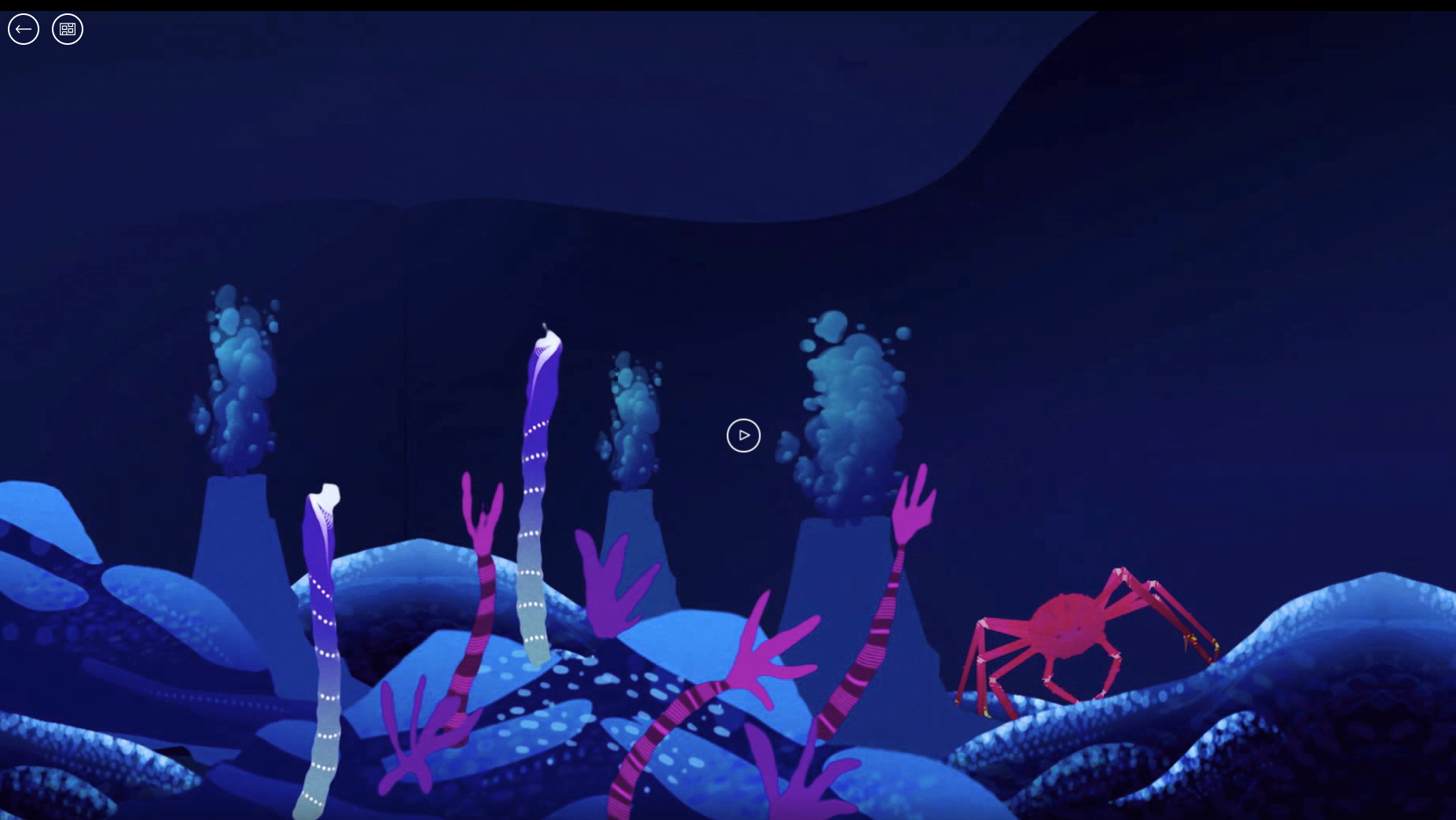 Caption a habitat! Instagram activity (with template) | Free | Online Resource