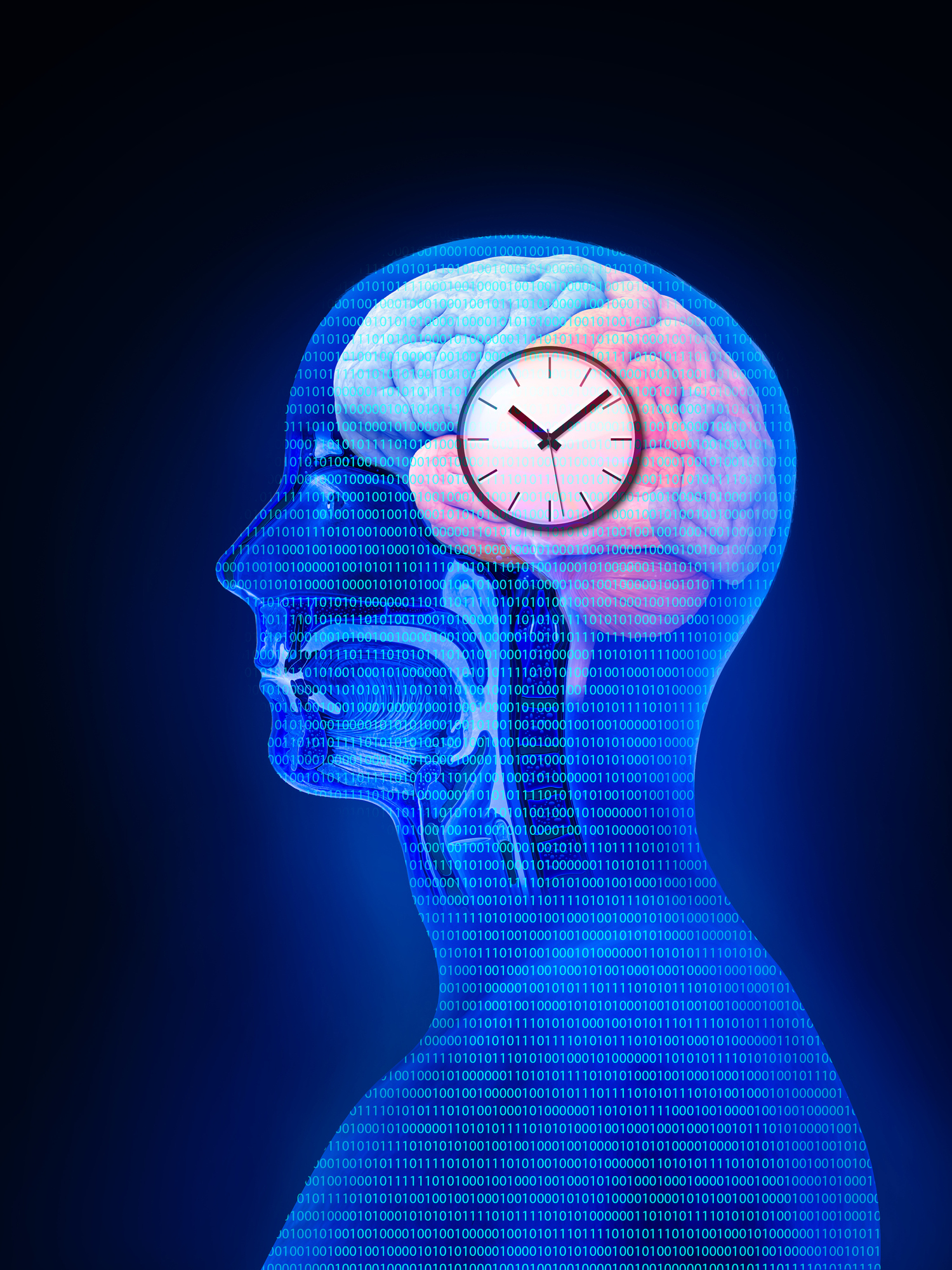 circadian rhythms