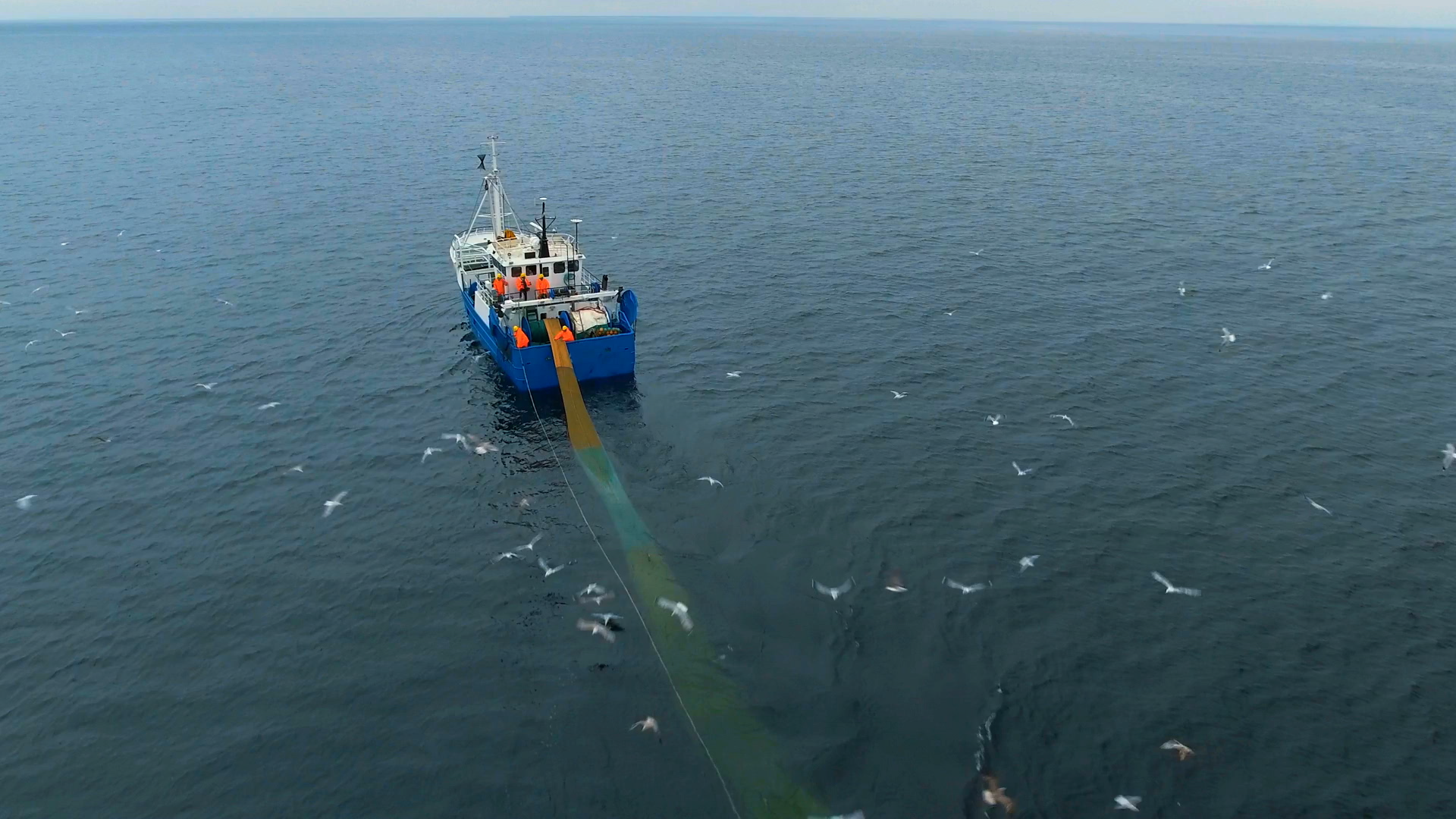 Species survey: Plan a data collection cruise for a research vessel