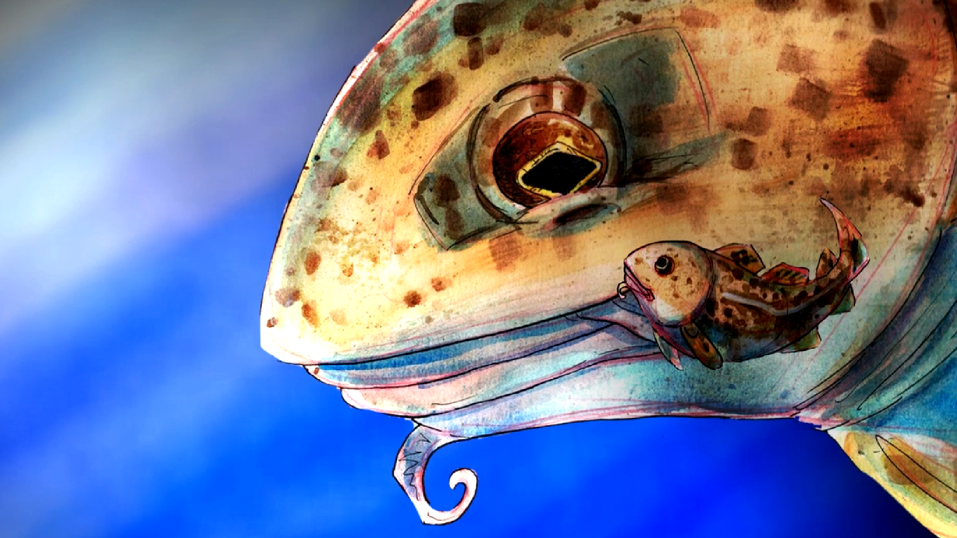 Nature-based survival plan activity | Indigenous perspectives 