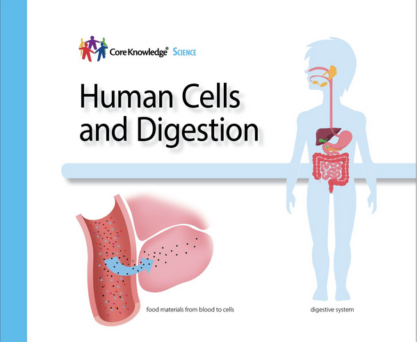 CKSci Unit 5: Human Cells and Digestion