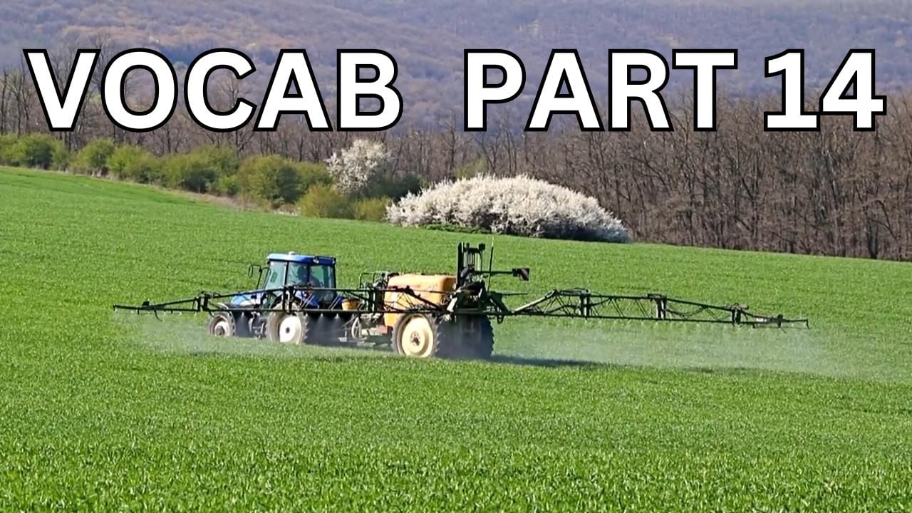 Vocabulary Builder Part 14 Video sheet, Google Forms, Canvas & more V2