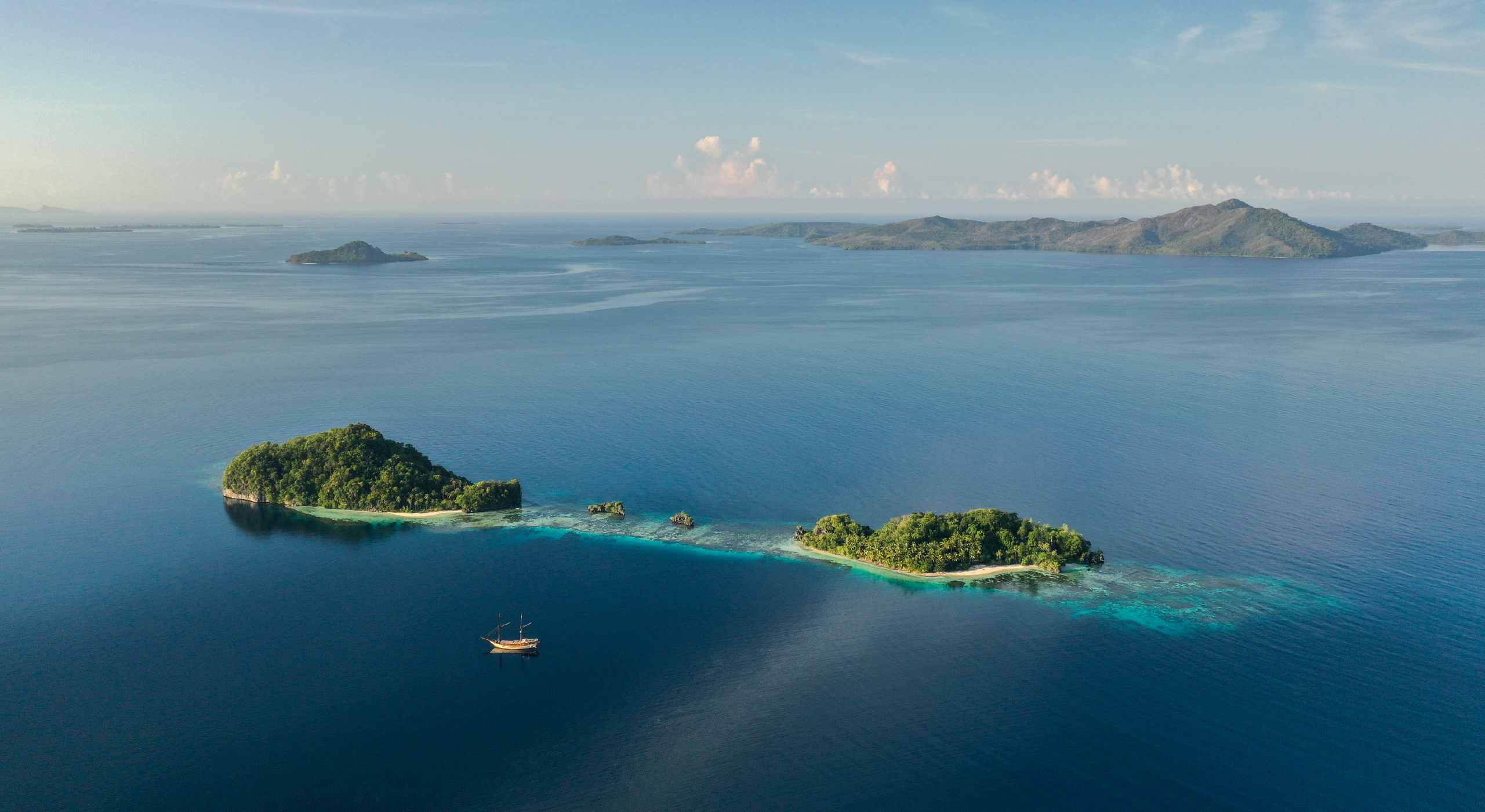 Create your own aquarium to conduct experiments! 