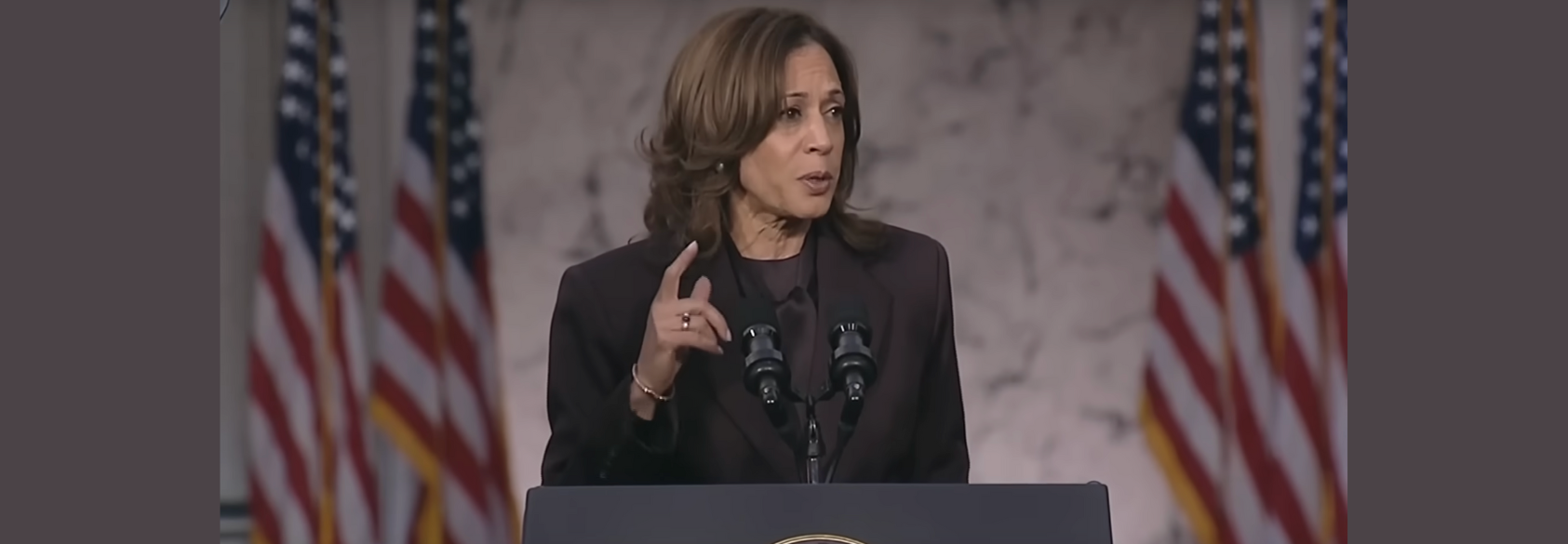 Harris Urges Supporters to ‘Never Give Up the Fight for Our Democracy’ in Concession