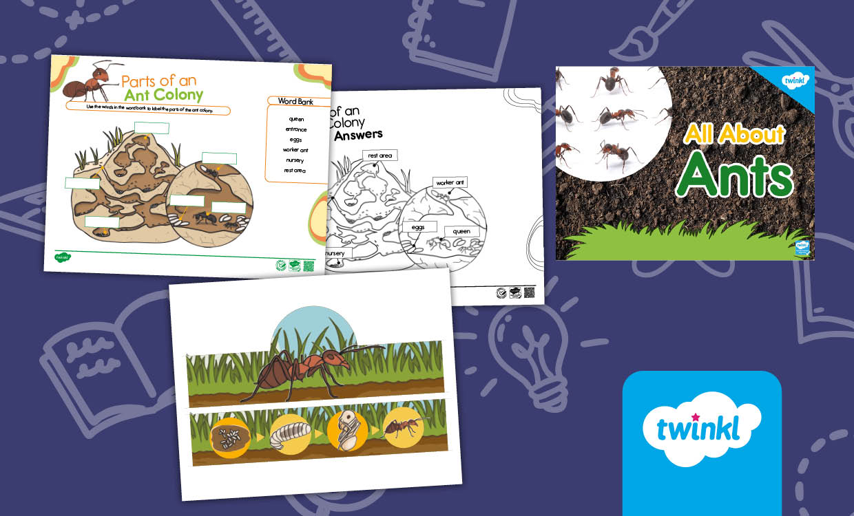 All About Ants Lesson for K-2nd Grade