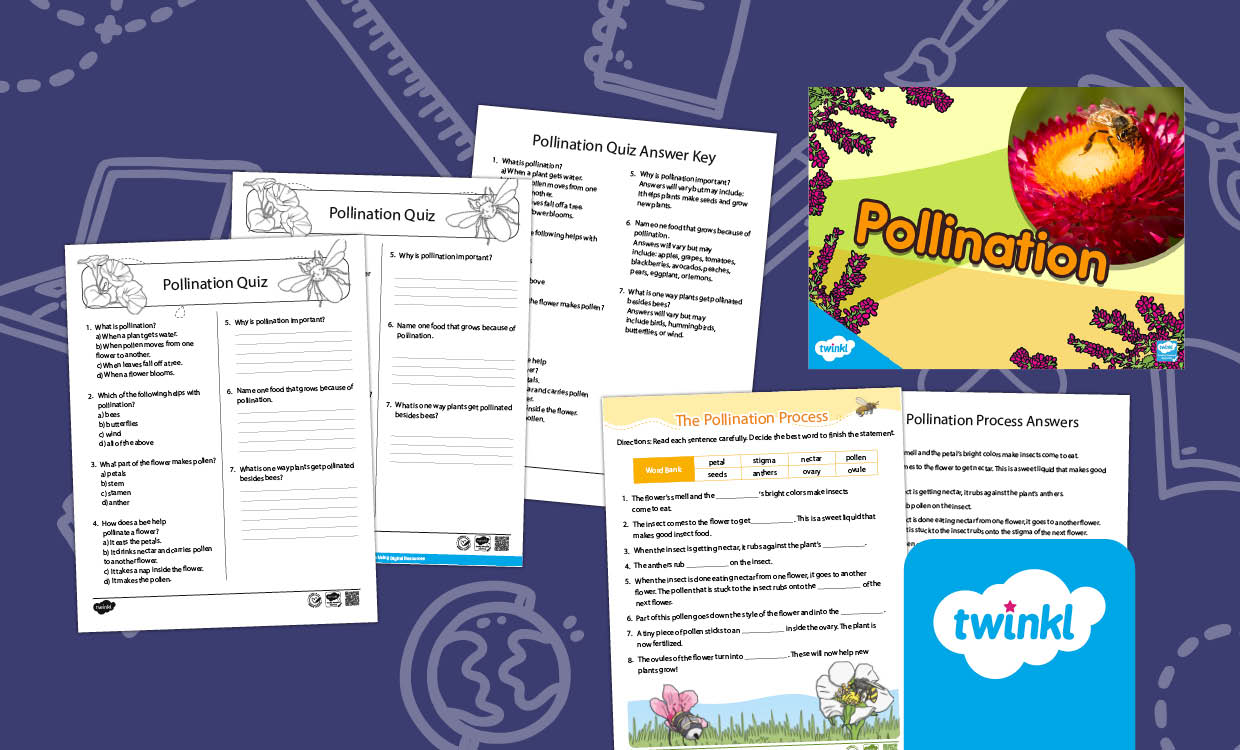 Plant Pollination Lesson for K-2nd Grade