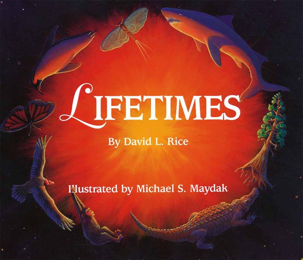 Lifetimes Activity