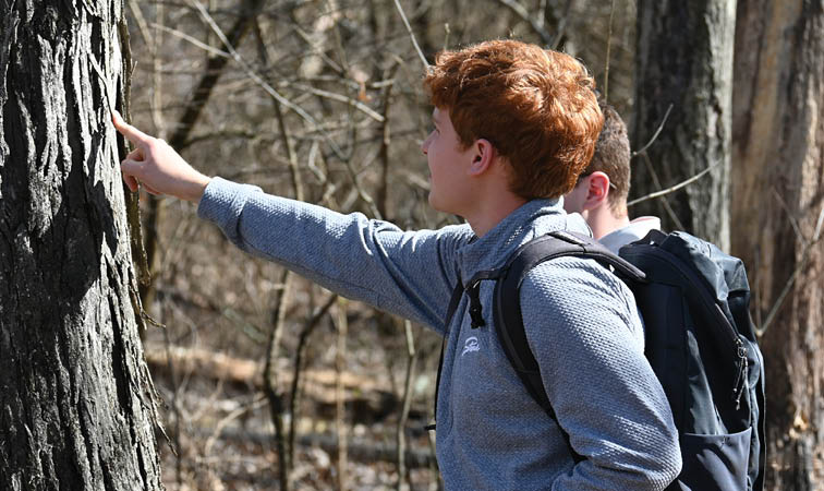 Nature Walk Journal for SEL/National Park and Recreation Month