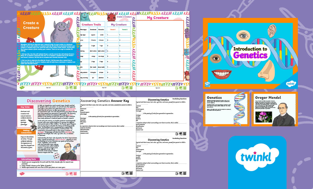 Introduction to Genetics Lesson for 7th Grade