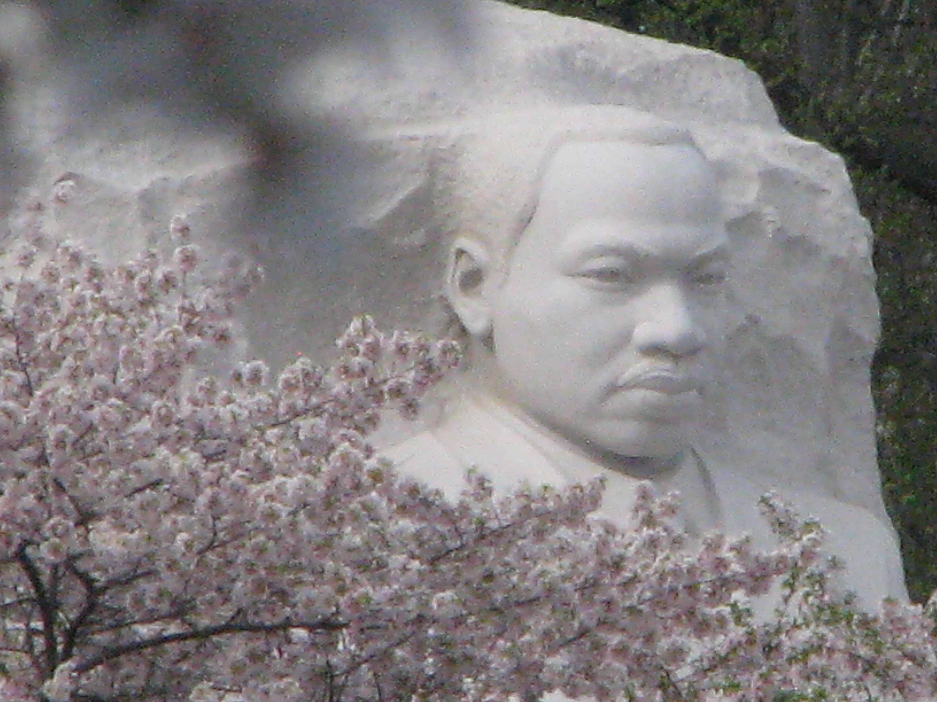 Ubuntu – The Highest Praise, to Martin Luther King Jr.