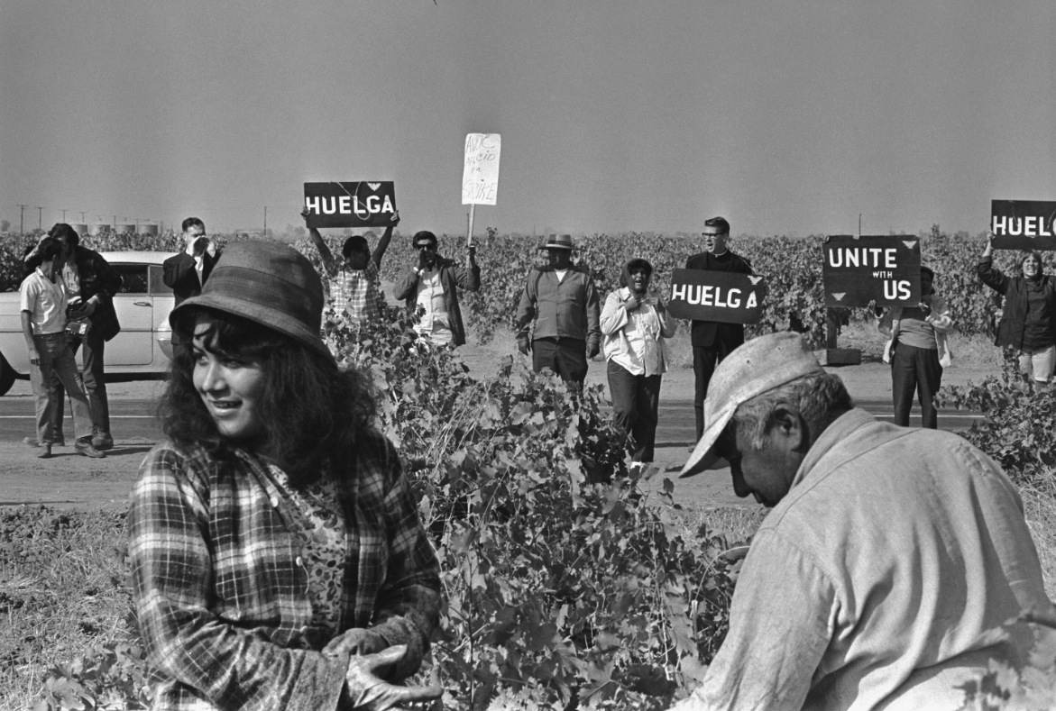 California Grape Workers' Strike:  1965-66