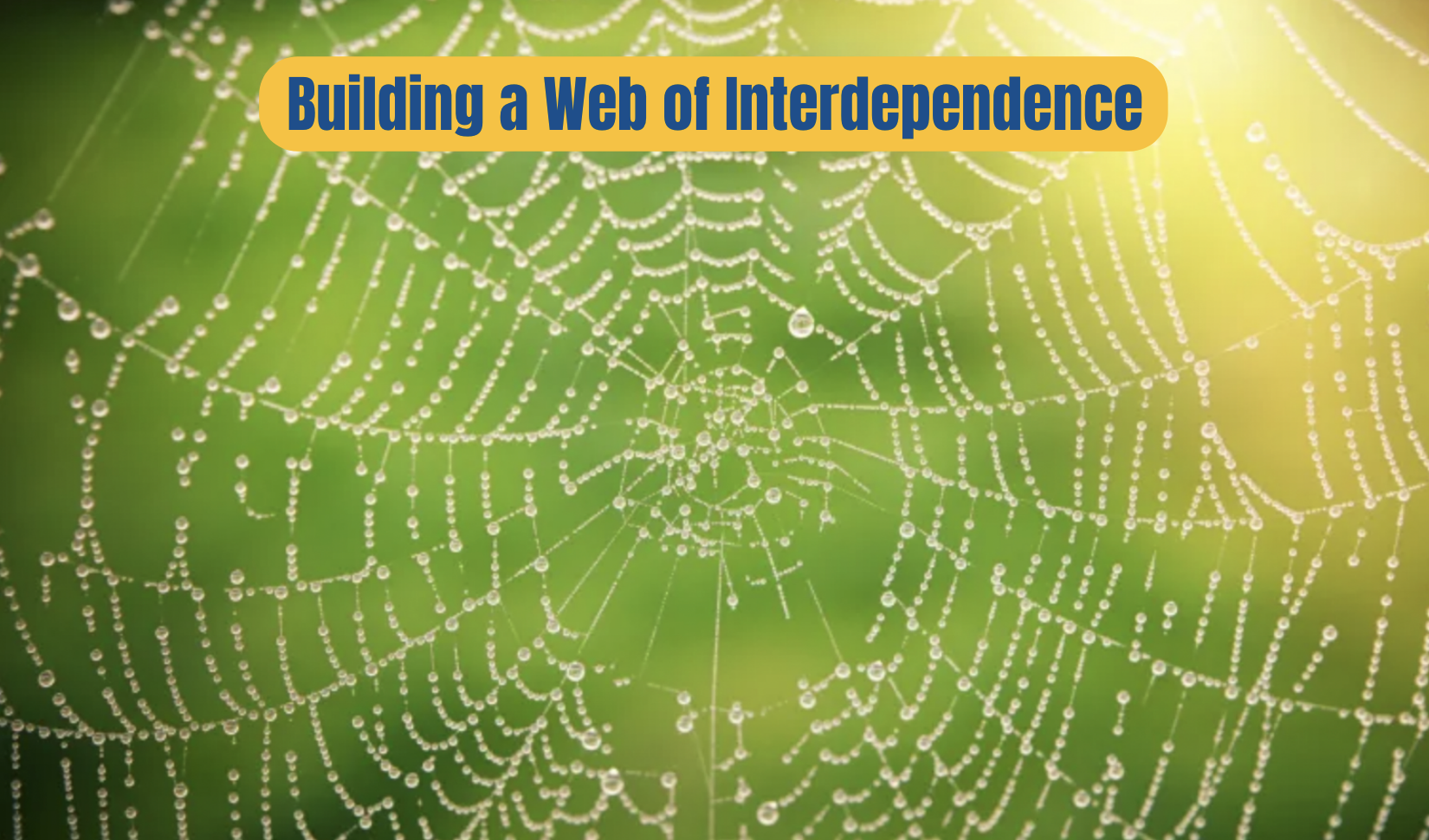 building a web of interdependence