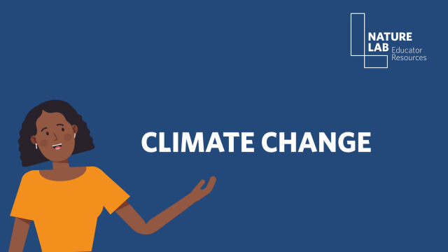 Changing Climate, Changing Cities: A Virtual Field Trip from Phoenix to Shenzhen