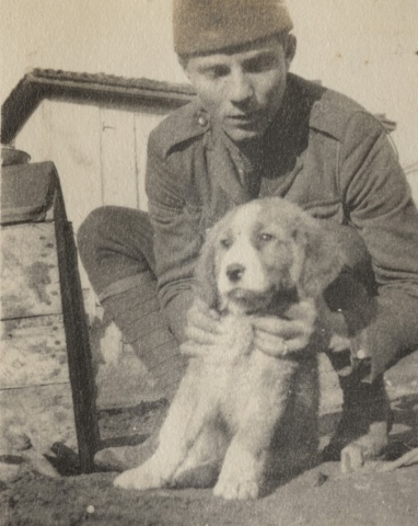 ANIMALS OF THE GREAT WAR - THE IMPACT OF ANIMALS DURING WWI