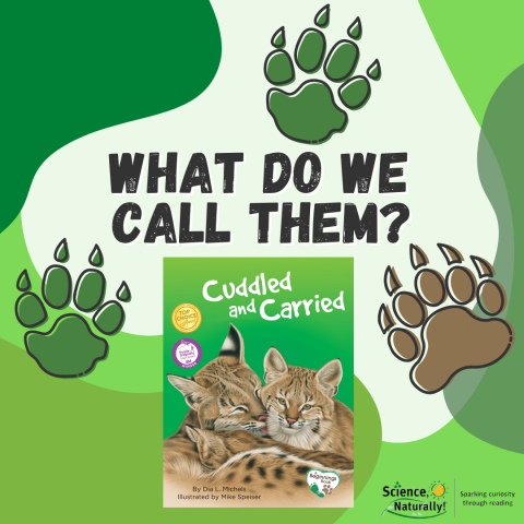 What Do We Call Them? from "Cuddled and Carried"