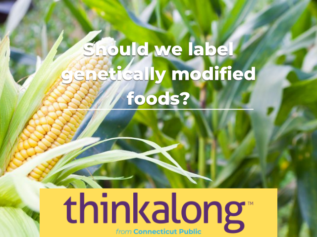 Should we label genetically modified foods? - Civil Discourse for Classrooms