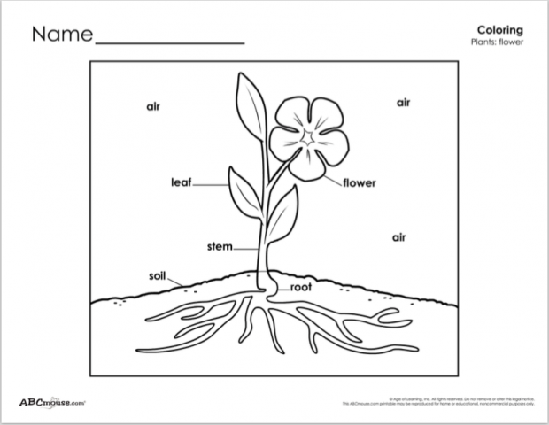 Spring Printables Collection