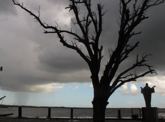 Then and Now | Global Oneness Project