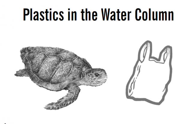 Plastics in the Water Column