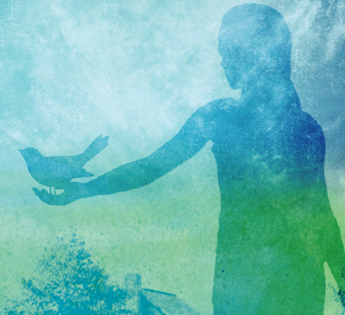 Teaching Mockingbird