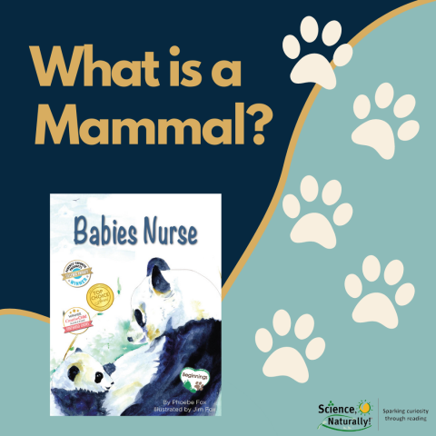 What is a Mammal? from "Babies Nurse"