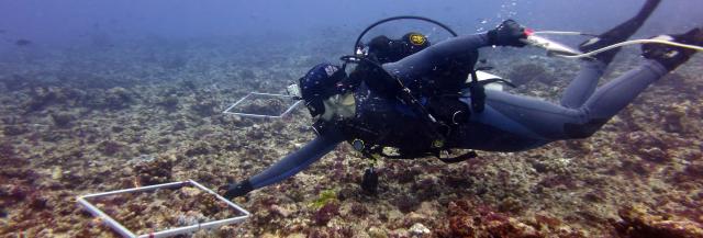 Want to be a marine biologist? Step 1 for anyone