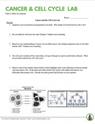 Jim Allison: Breakthrough (Part 1)