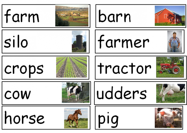 Farm Animal Vocabulary and Word Wall ECE