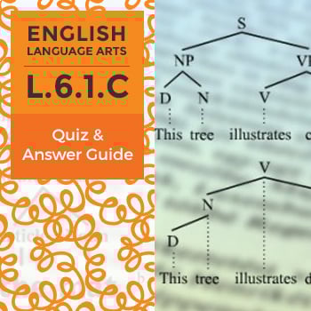Quiz: L.6.1.C