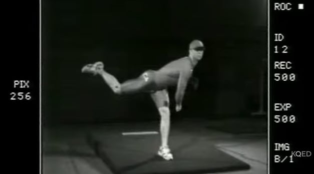 The Physics of Baseball