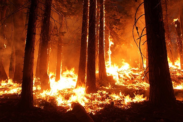 When Nature Strikes: Wildfires