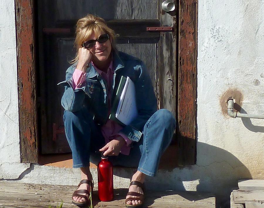 Marine Arthropods: A Successful Design