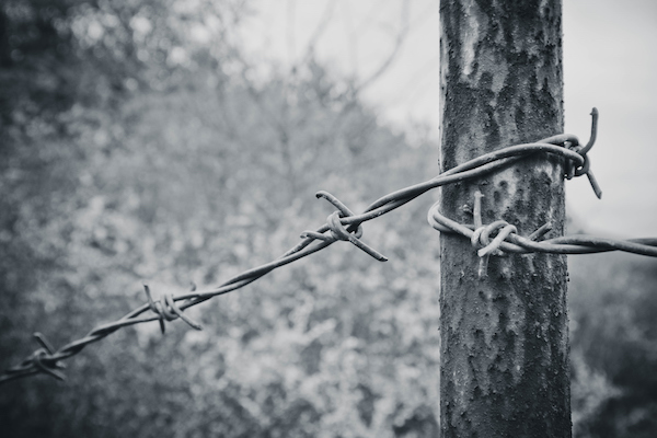 Causes and Effects of WWII