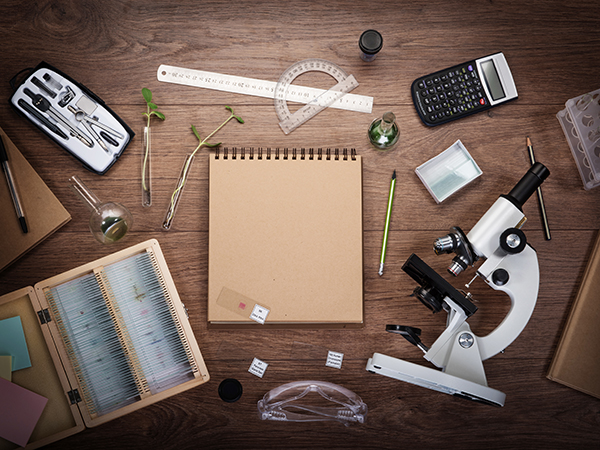 Homeostasis and Respiration Notes